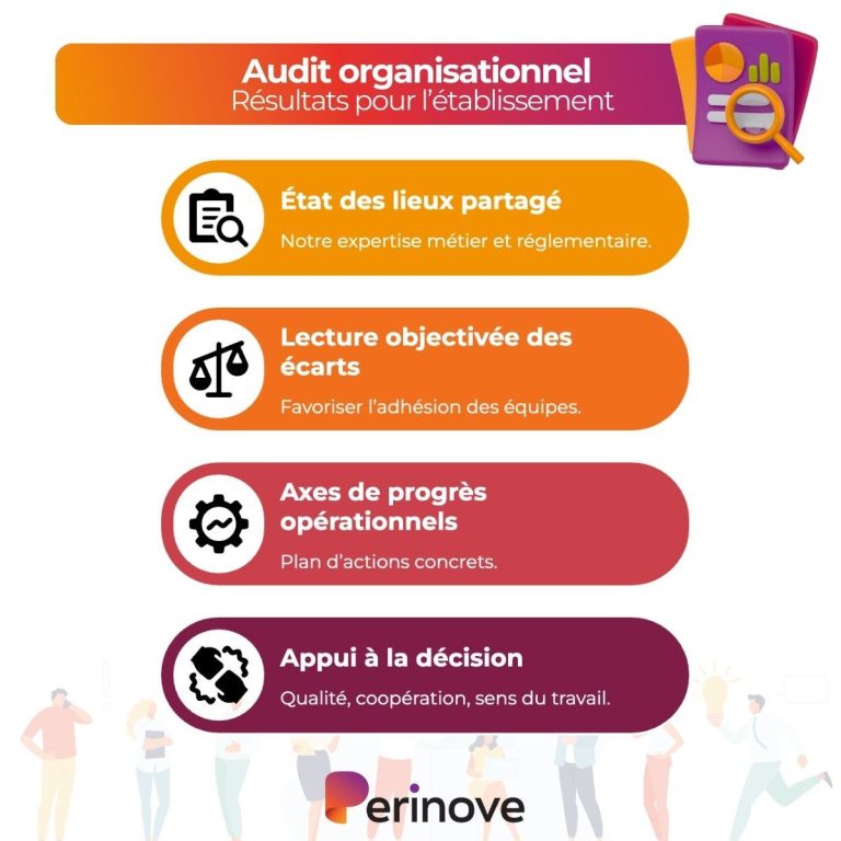 Schéma des résultats d'un audit organisationnel